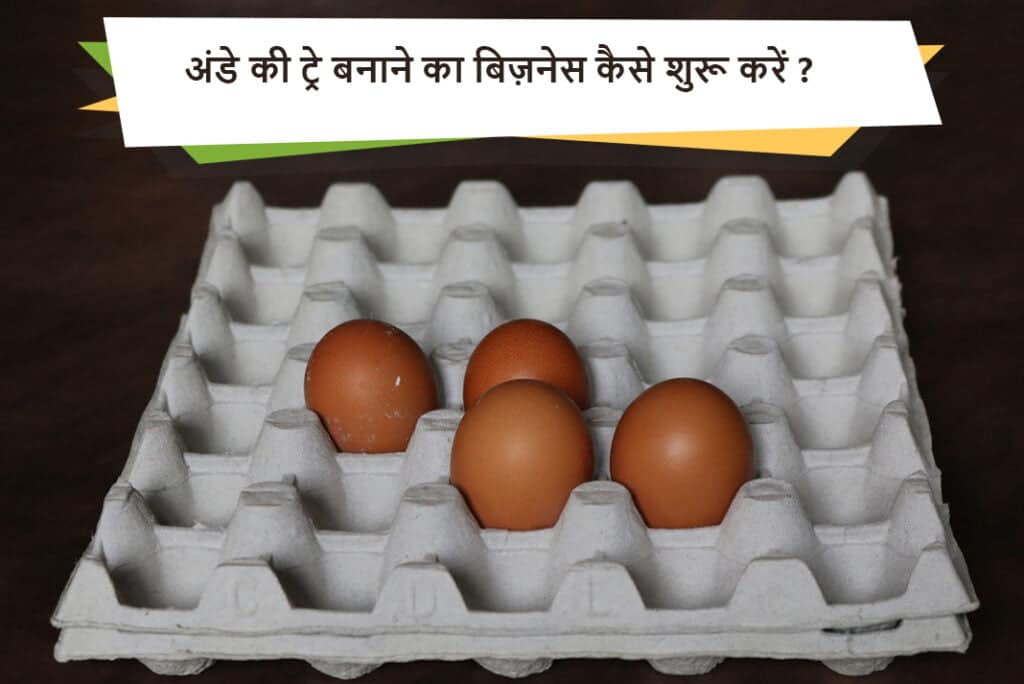 अंडे की ट्रे बनाने का बिज़नेस कैसे शुरू करें - How To Start Egg Tray Making Business in Hindi