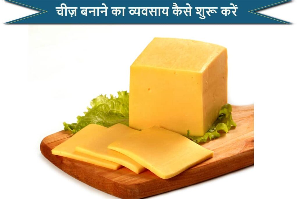 चीज़ बनाने का व्यवसाय कैसे शुरू करें - How To Start Cheese Making Business in Hindi