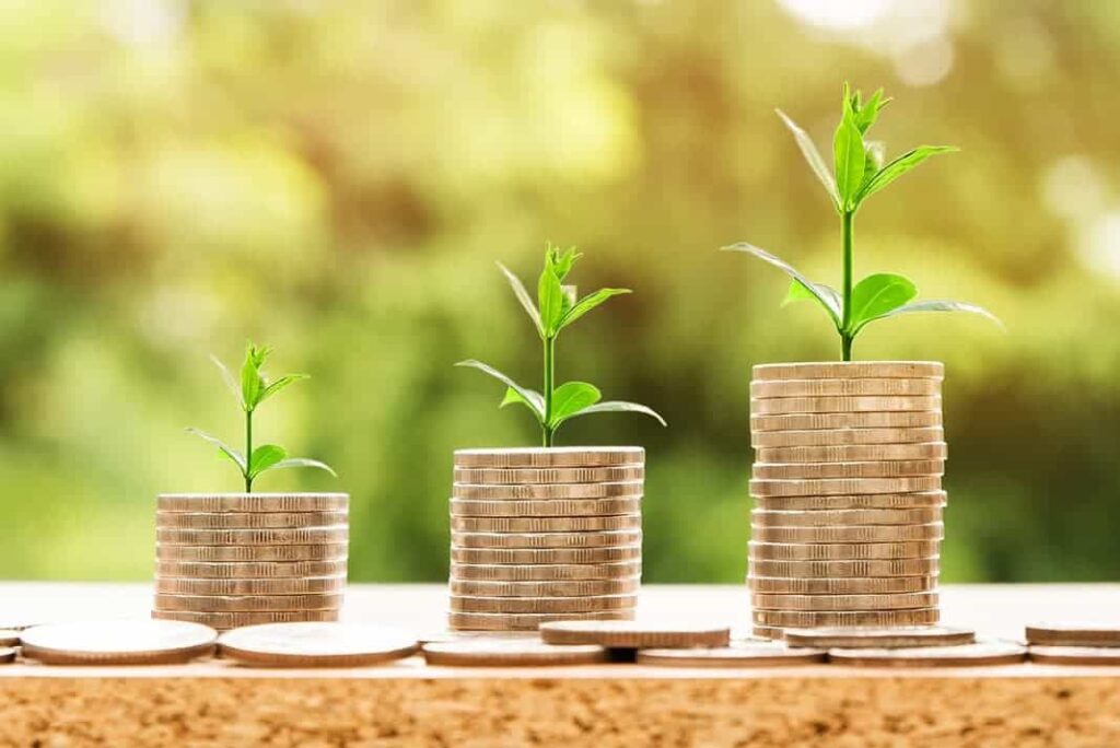 Investment In Hindi 