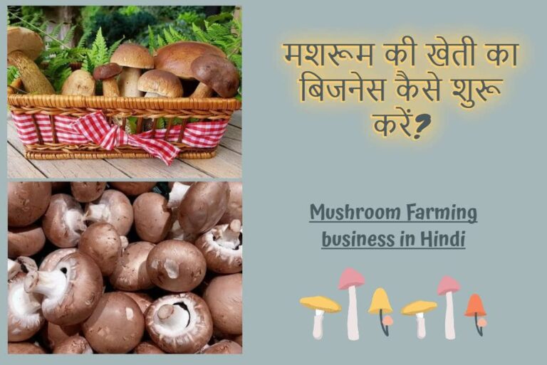How To Start Mushroom Farming business in Hindi - मशरूम की खेती का बिजनेस