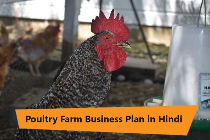 poultry farming business plan in hindi